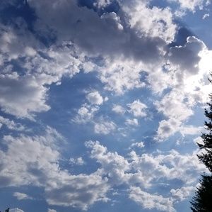 Meet your Posher, Dinorah